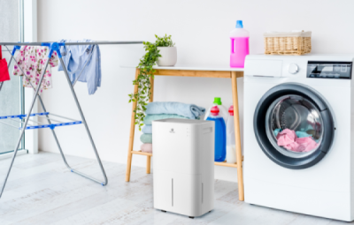 Осушитель воздуха серии PACIFIC  Loft RD-PC25-E