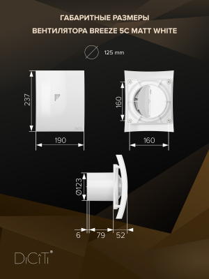 Обратный клапан BV D100 полиэстер ERA